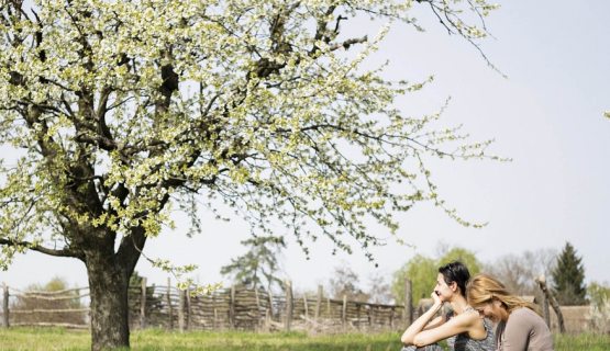 virágzó fa alatt ülő két nő