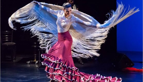 Flamenco Táncmelodikák, Pirók Zsófia