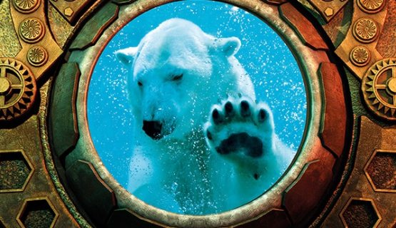 Jegesmedve Az óceán kincse – Mélytengeri mentőakció kiállításon