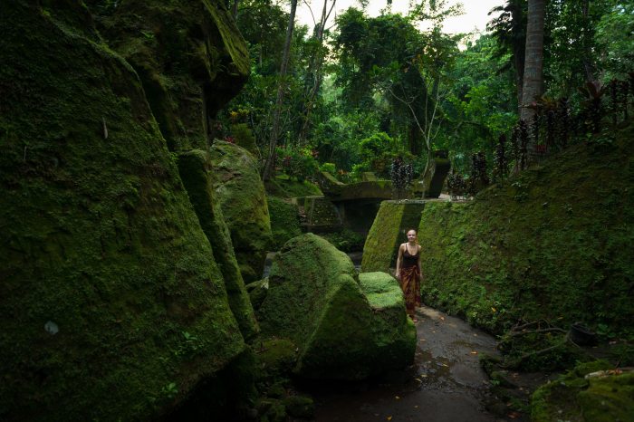 Bali erdő
