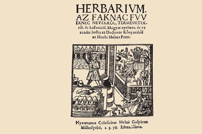 Herbarium füvészkönyv