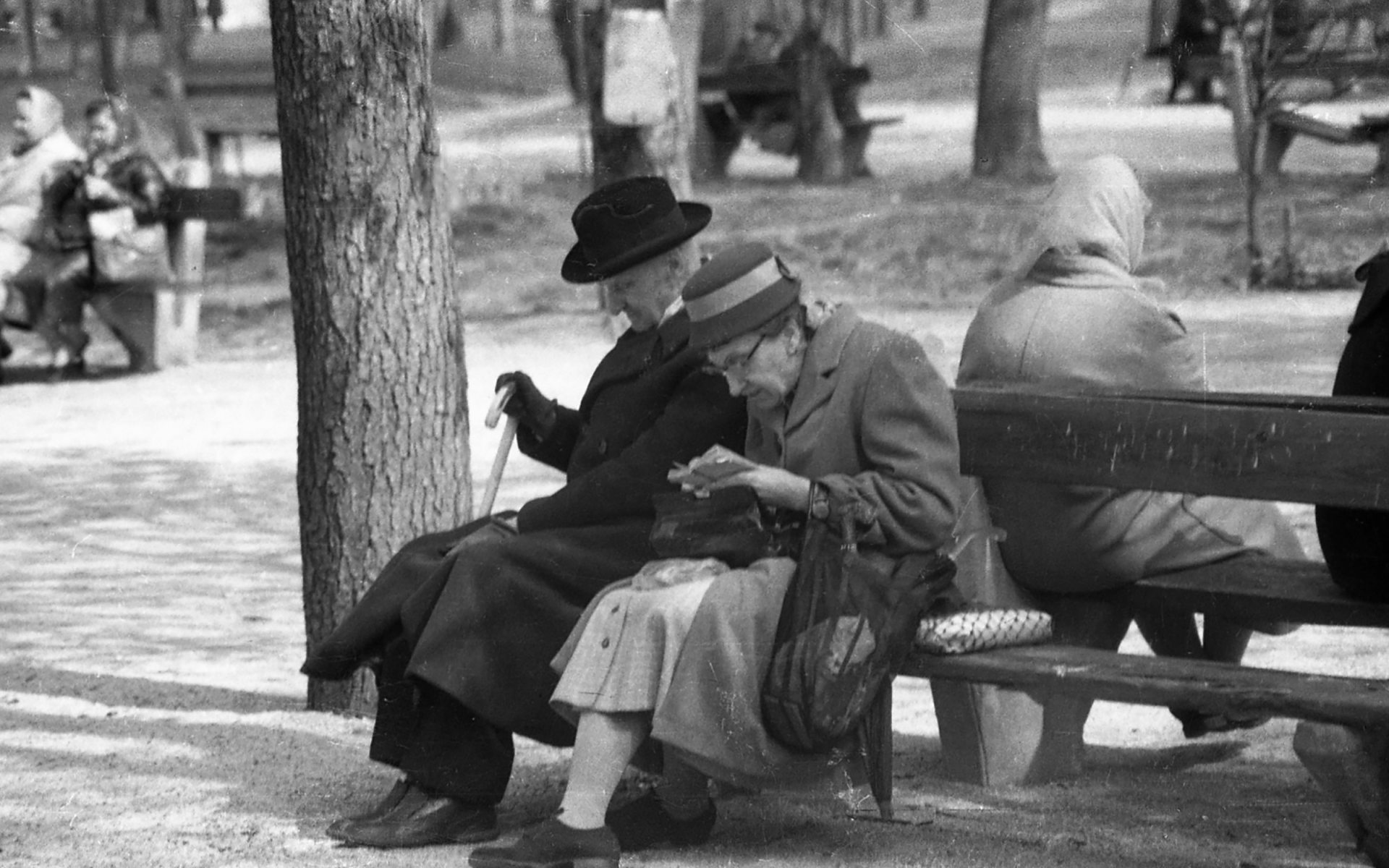 két idős ember padon ül