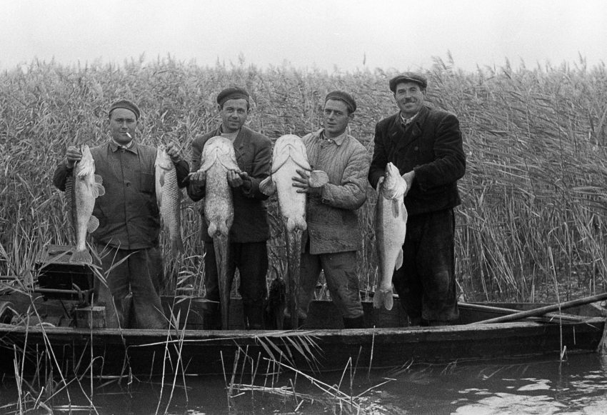 a Tüskevár regényben is említett pákász űzői