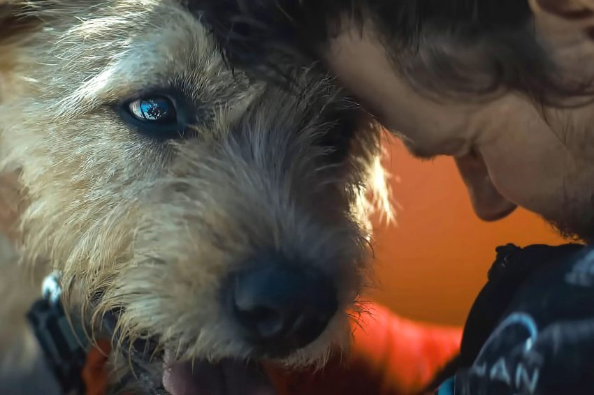 egy kutyás film, az Artúr, a király képkockája