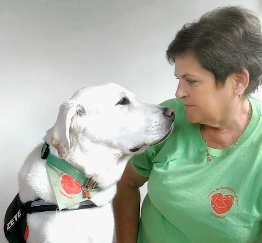 év hős kutyája 2025