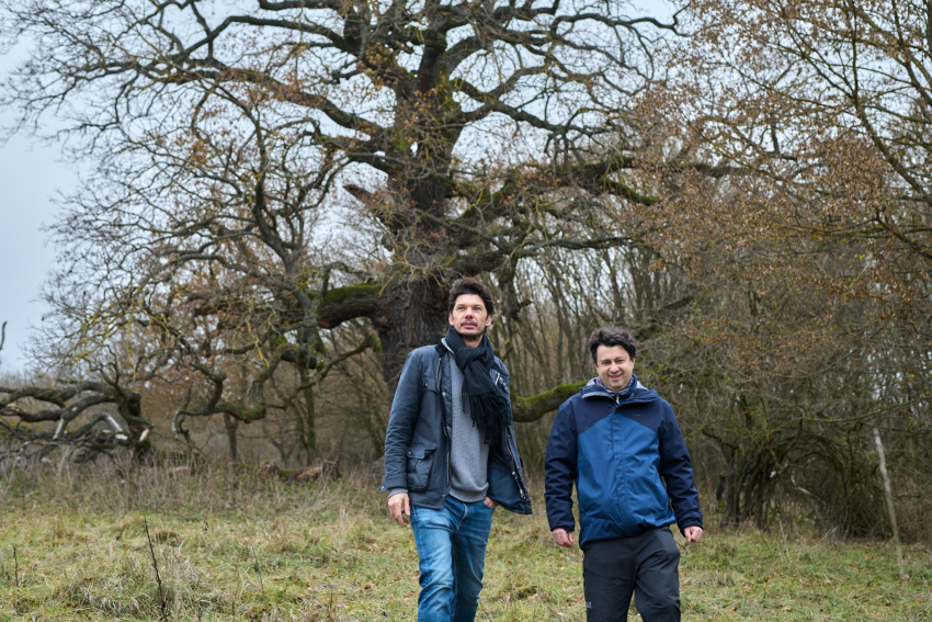 Kállai Márton és Kovalik Máté a gerecsei öreg tölgynél