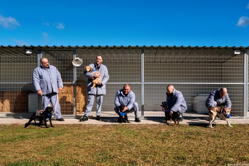 kutyás börtönterápia