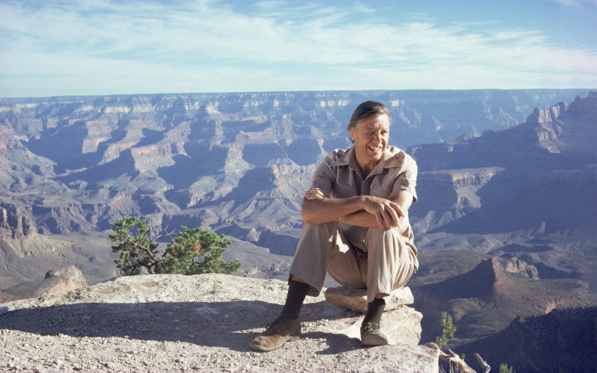  David Attenborough