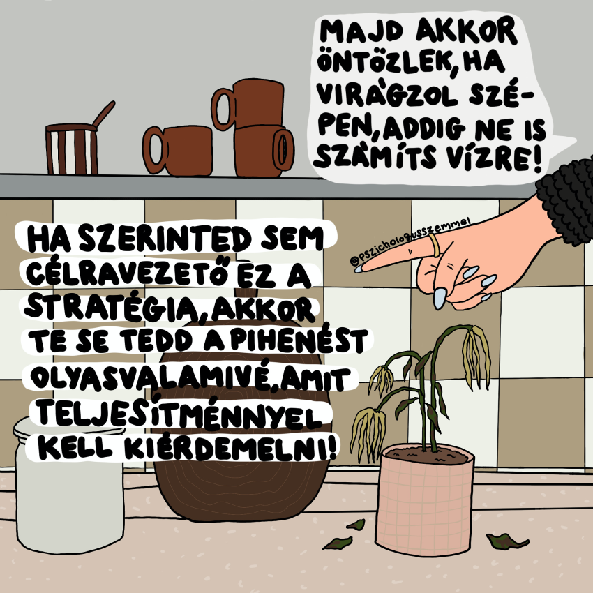 Kép: Dr. Fejes-Vékássy Lili