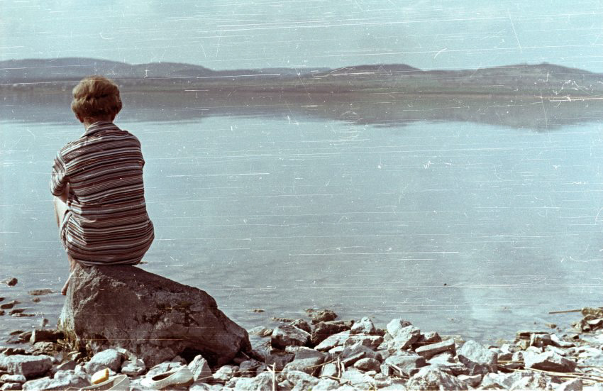 Vízpart Sajkod közelében, 1961, Fortepan/Album001