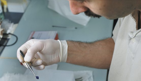 Megtalálták a diabétesz-védőoltást? – Hírek és álhírek a cukorbetegség-kutatásokról