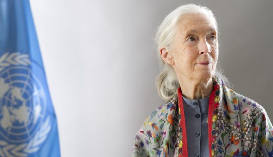 Jane Goodall 
