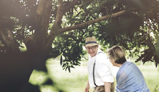 két idős ember fa alatt sétál