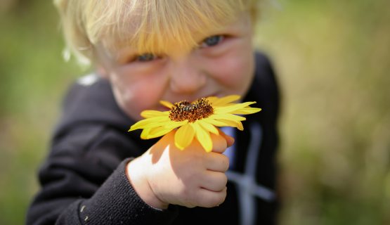 kisgyerek virággal, amin méh van