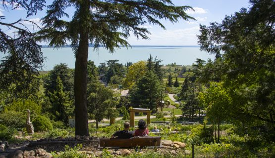 Folly Arborétum és Borászat egy pontjáról kilátás a Balatonra