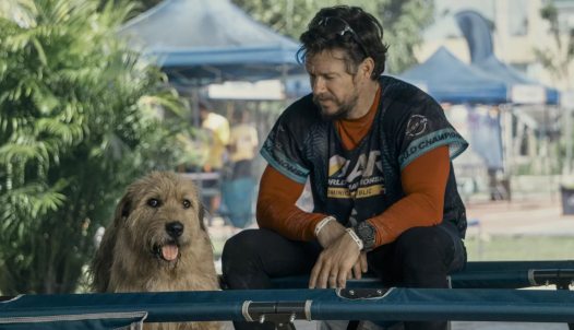 Mark Wahlberg kutyás film jelenetében