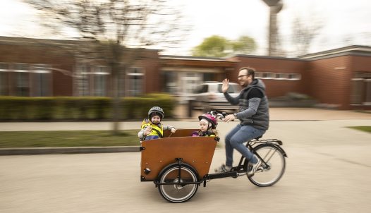 Föld bajnokai pályázat