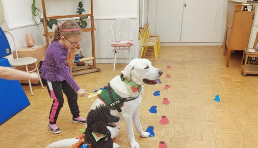 két terápiás kutya