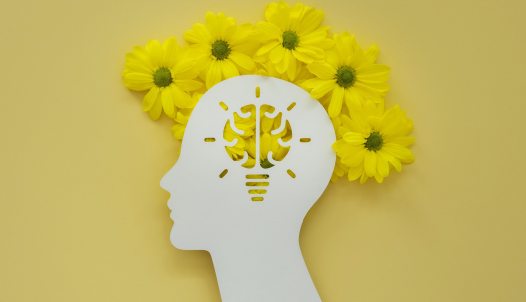 tanult tehetetlenség