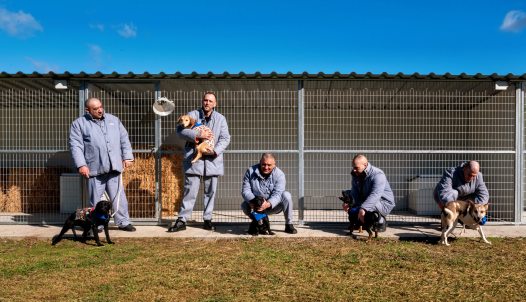 kutyás börtönterápia