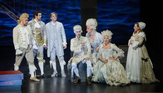 A kairói lúd, avagy A rászedett vőlegény