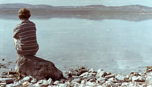 Vízpart Sajkod közelében, 1961, Fortepan/Album001