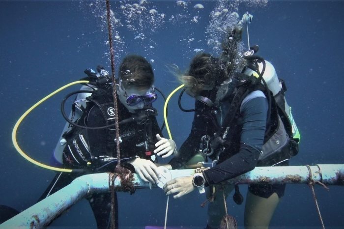 divers under water fixing a cable
