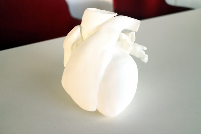 3D printed heart