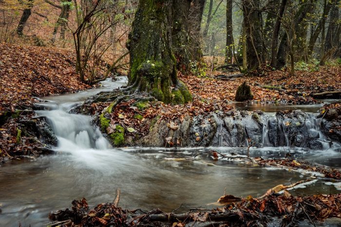 The Szalajka stream