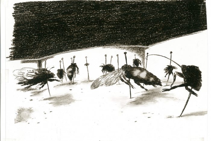 A drawing of flies for the animation film