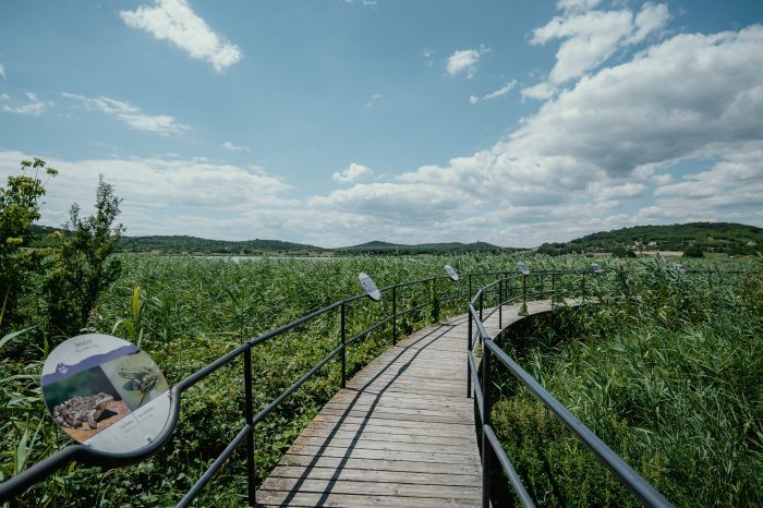 The plank in the reed beds of the Lavender House Visitor Center