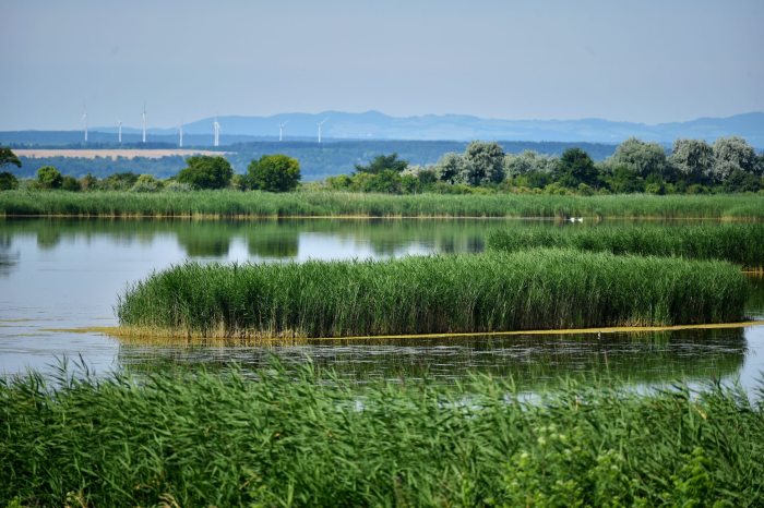 Fertő-Hanság Nemzeti Park riport