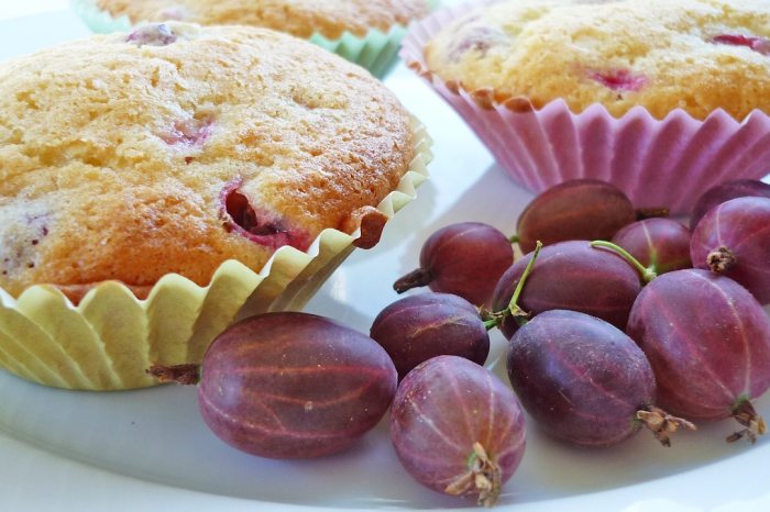 egres muffin