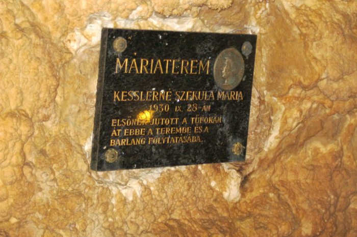 Tű foka nyílás