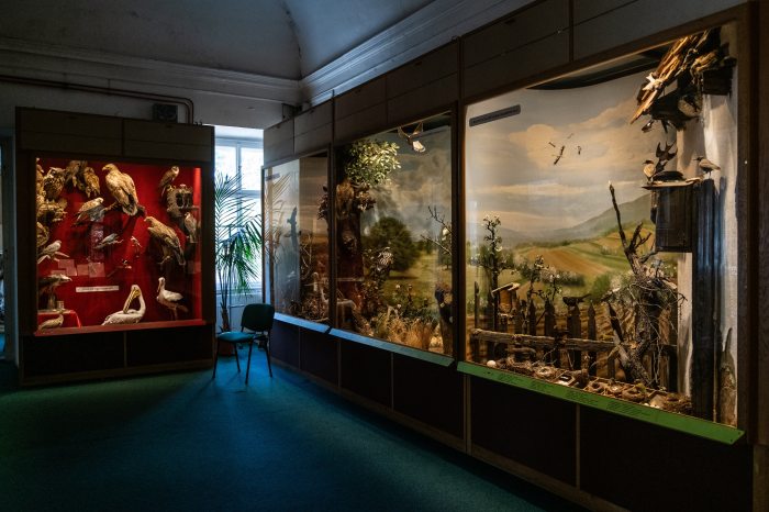 Bakonyi Természettudományi Múzeum