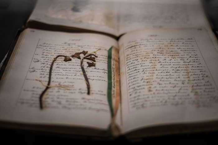 Nagy Iván történész