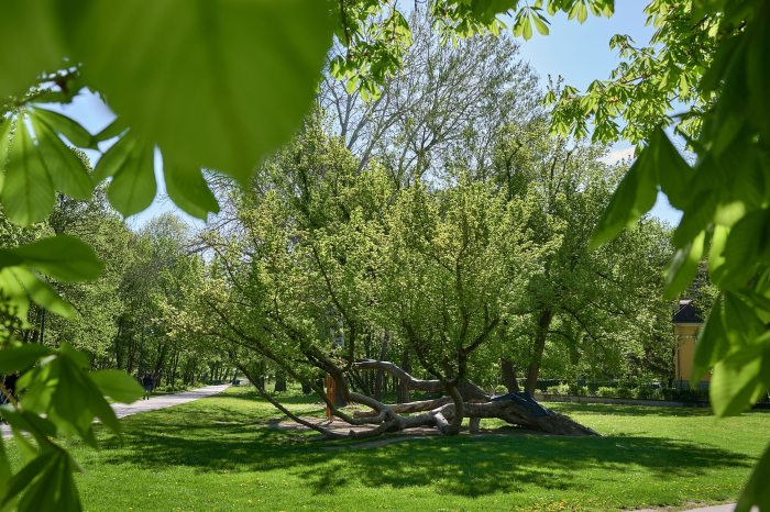  Magyar Kertörökség Alapítvány