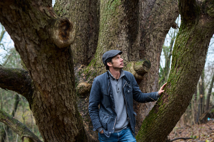 matuzsálem fa Magyarországon