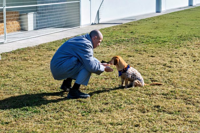 kutyás börtönterápia 2