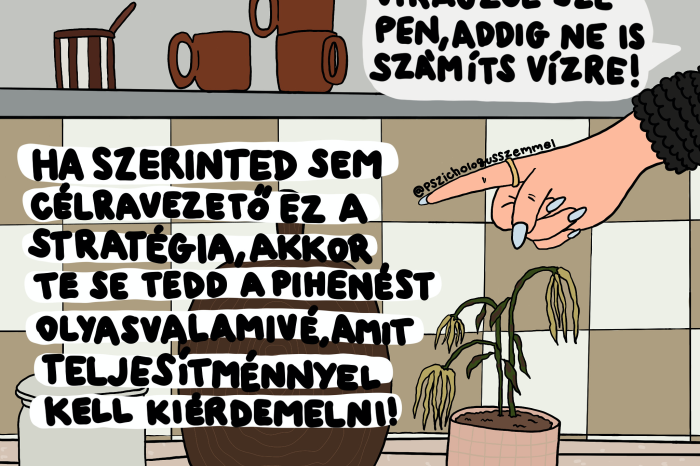 Kép: Dr. Fejes-Vékássy Lili