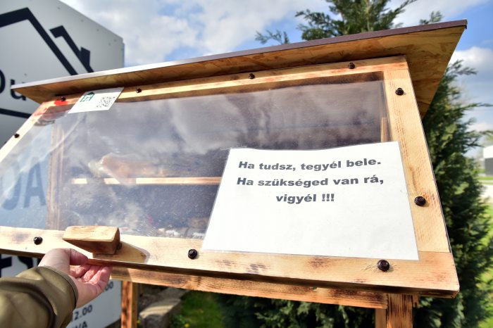 Kép: Császár Tamás