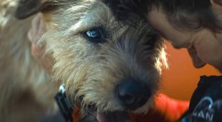 egy kutyás film, az Artúr, a király képkockája