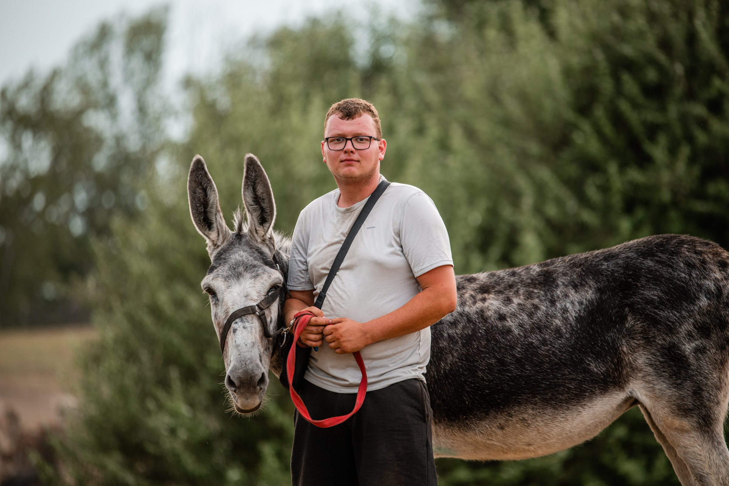 Koszonits Patrik és szamara, Füles