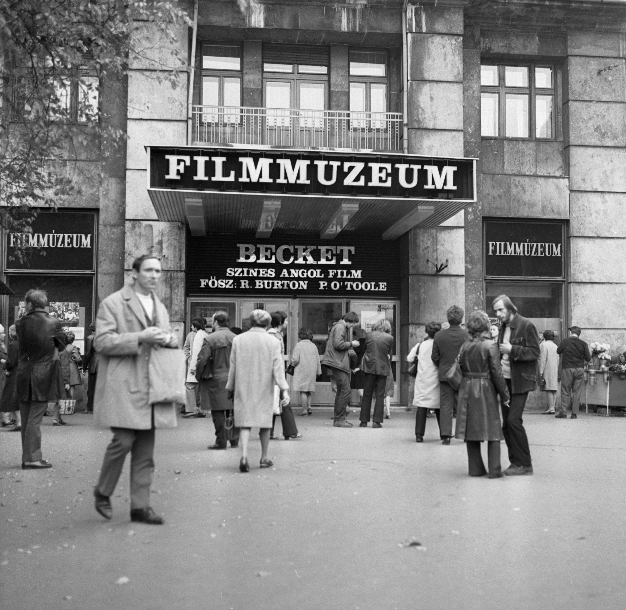 Filmmúzeum