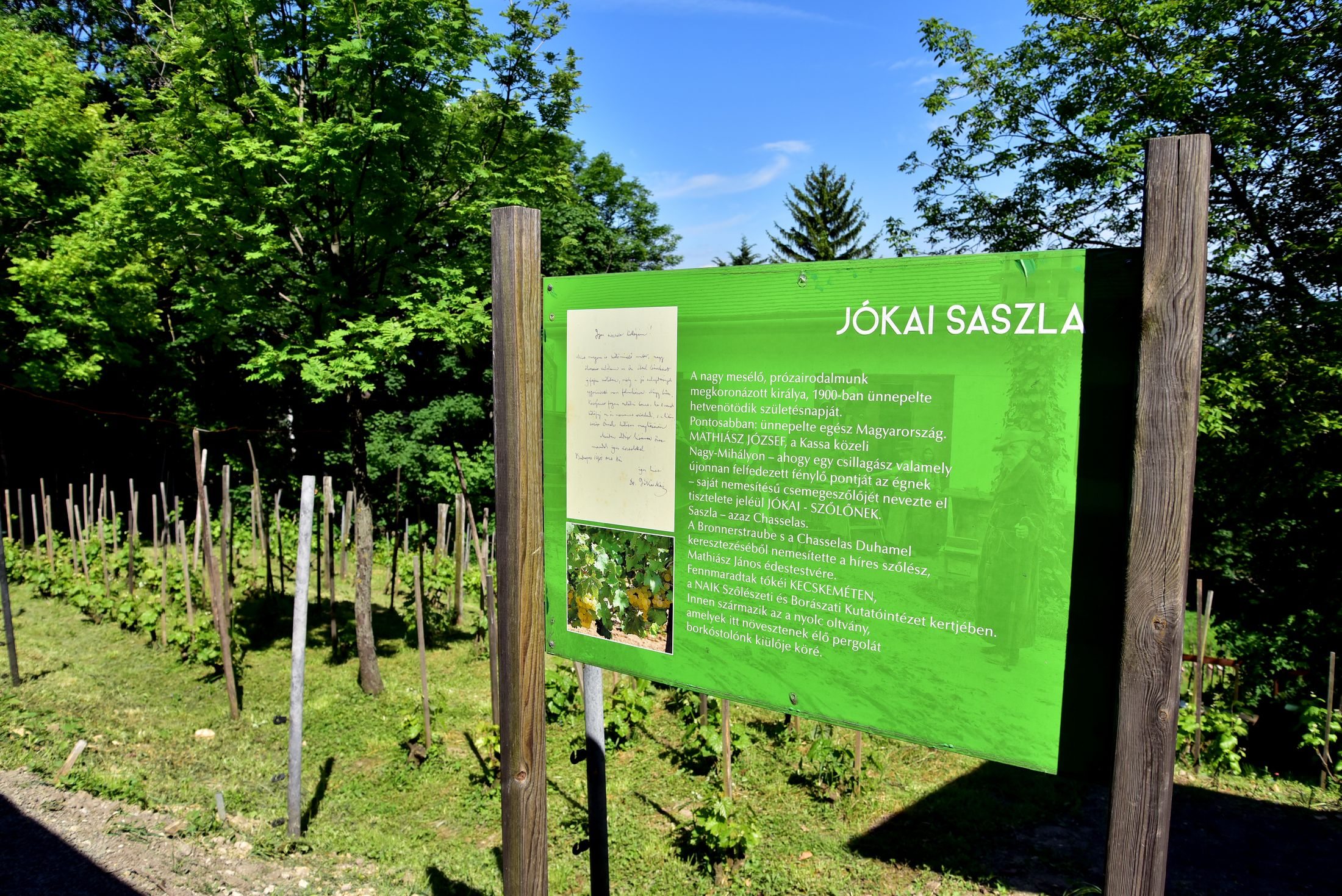 madarak kiállítás udvara