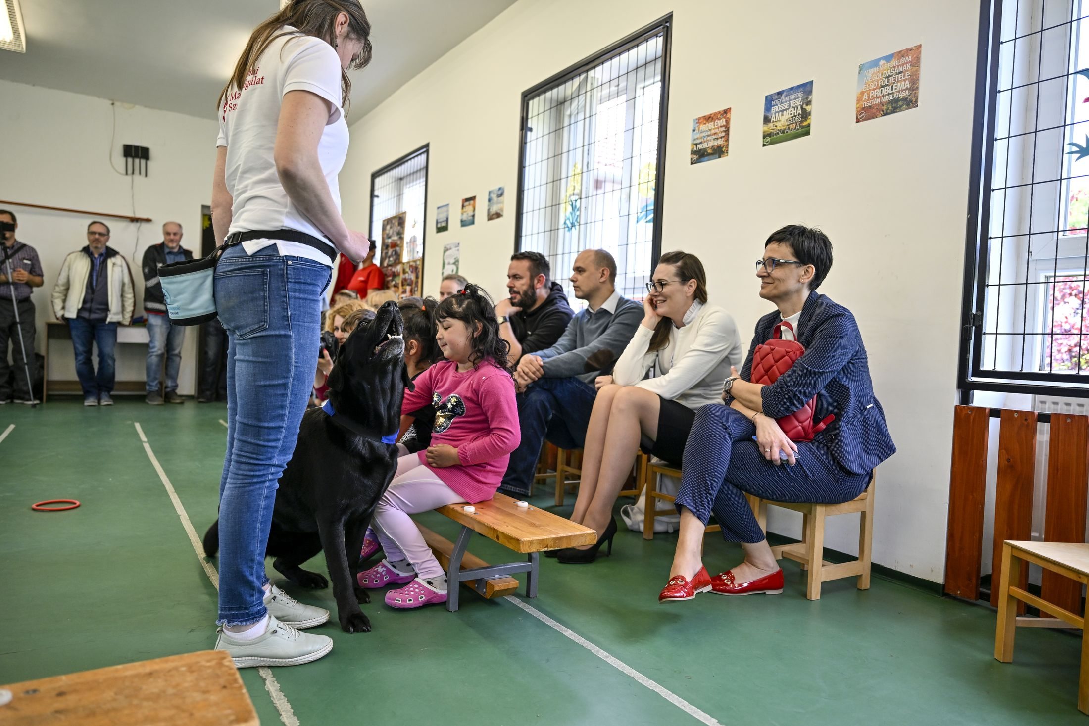 terápiás kutya program
