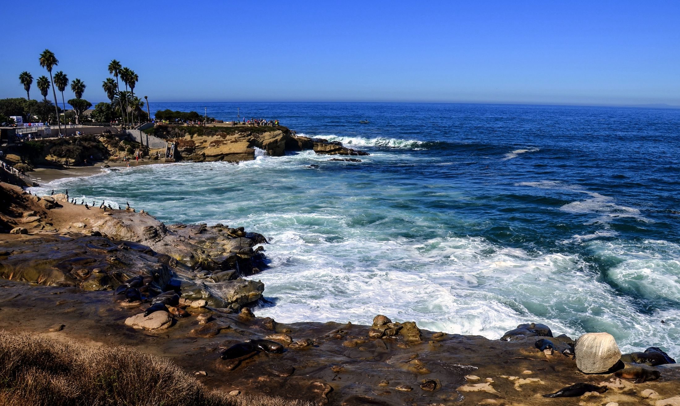 San Diego La Jolla