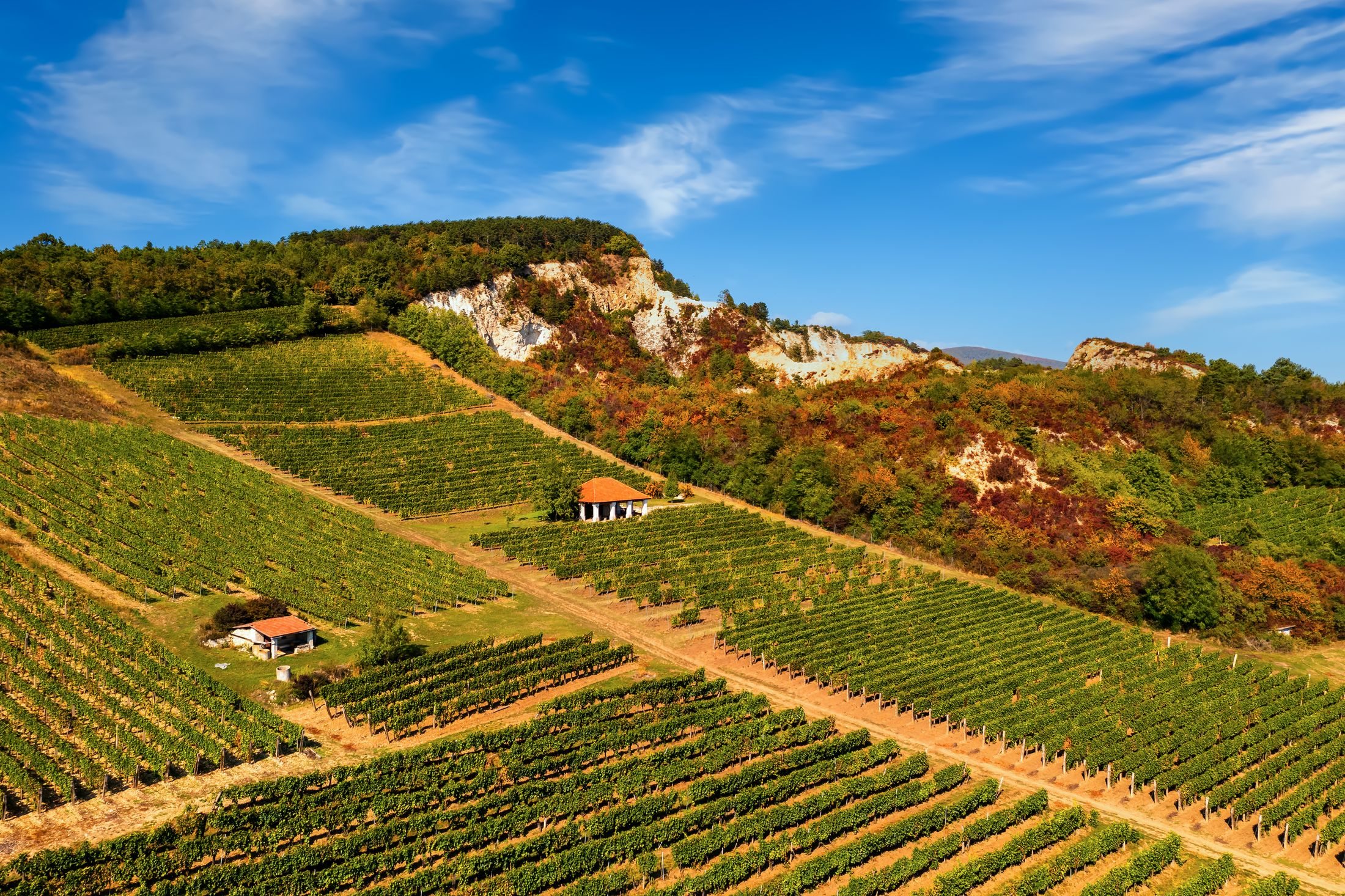 Tokaj látkép