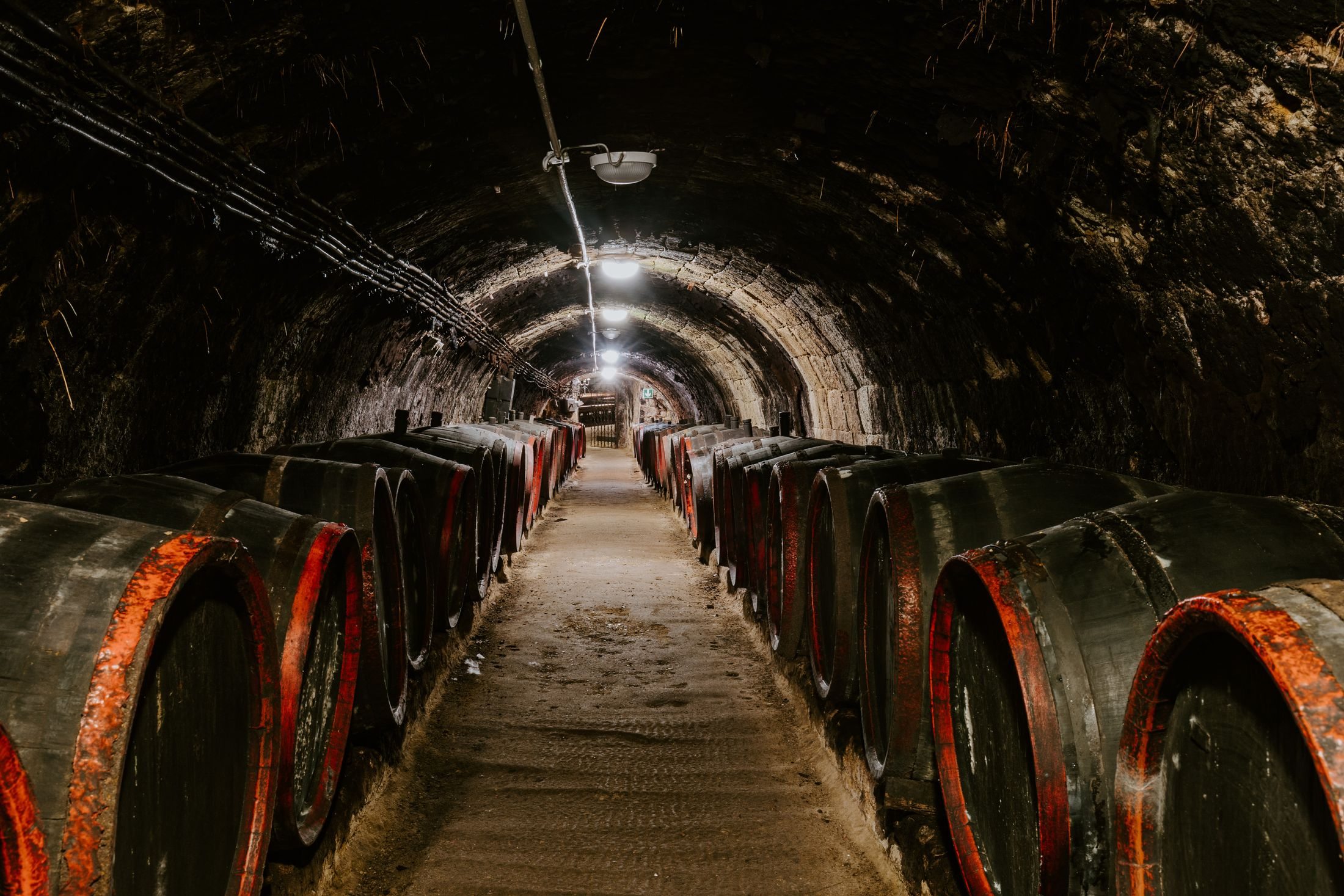tokaji borok a Rákóczi Pince és Udvarházban
