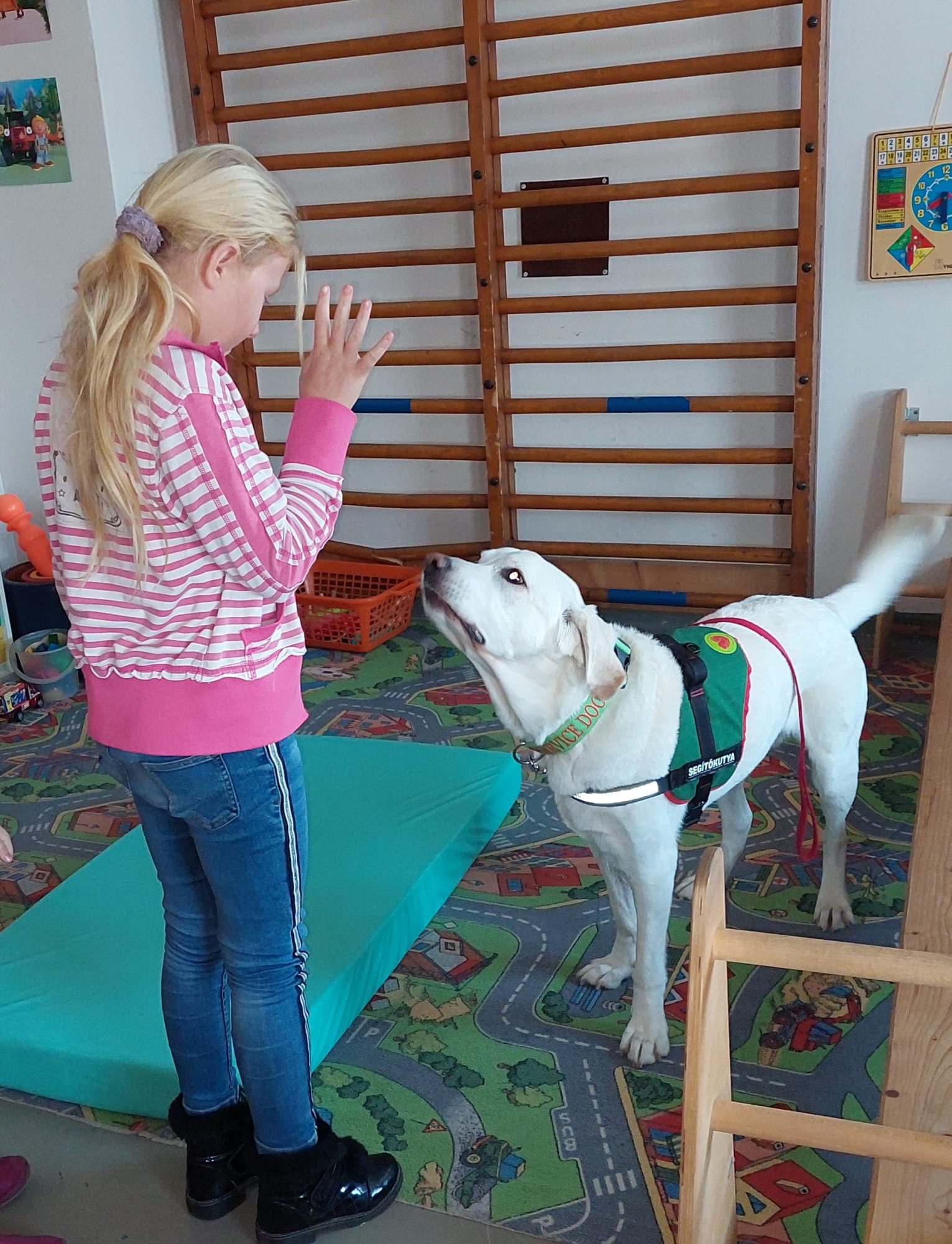 gyermekpszichiátrián állatterápia